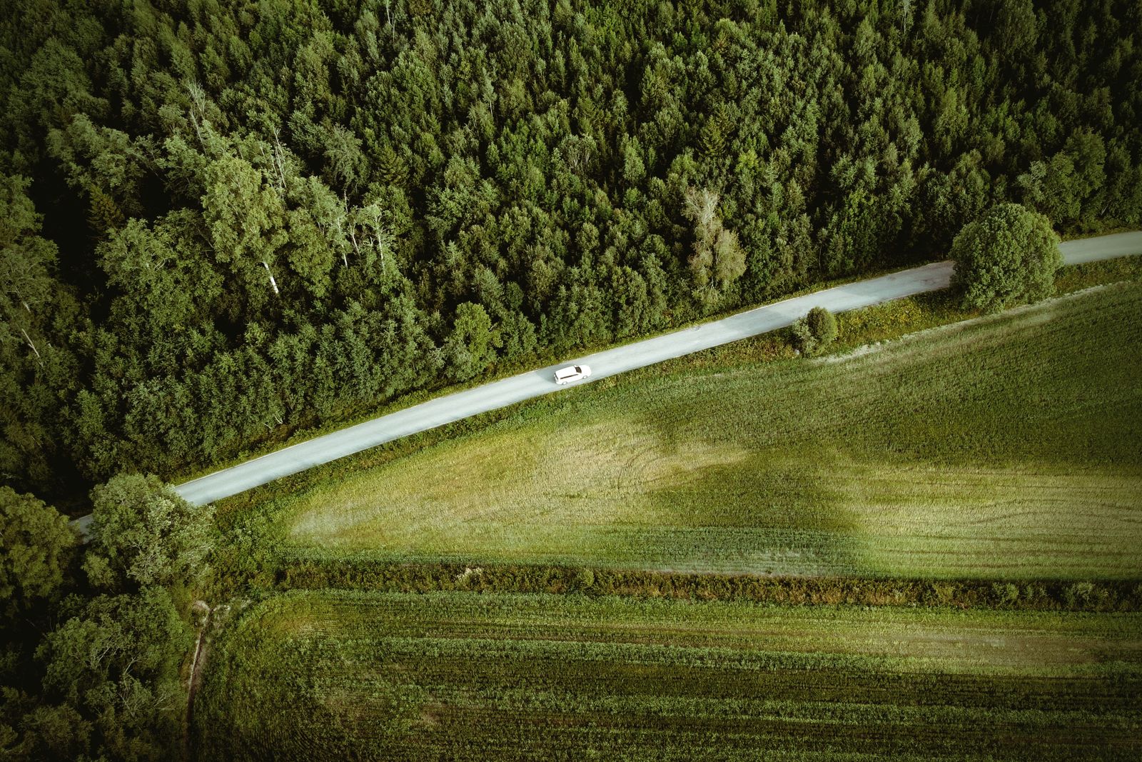 Landsväg genom svensk skog