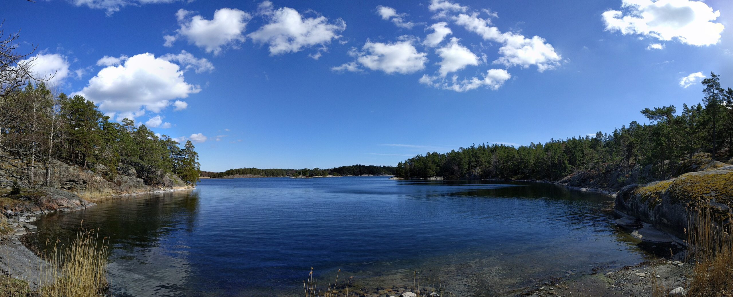 Skyddad vik med skogsklädda stränder i Björnö naturreservat på Ingarö