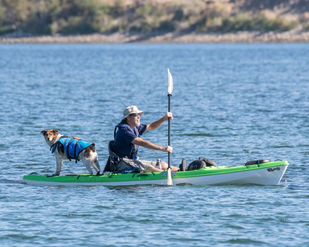 Person i kajak på en sjö med en hund i blå flytväst stående längst fram