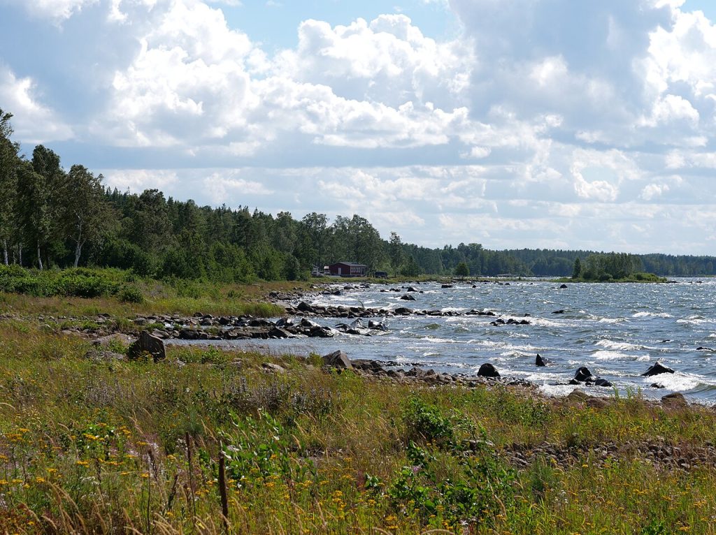 Vind och vågor mot Vänerns östra strand en sommardag
