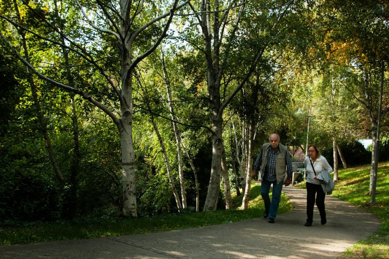 Äldre man och kvinna promenerar på en gång genom en björkdunge