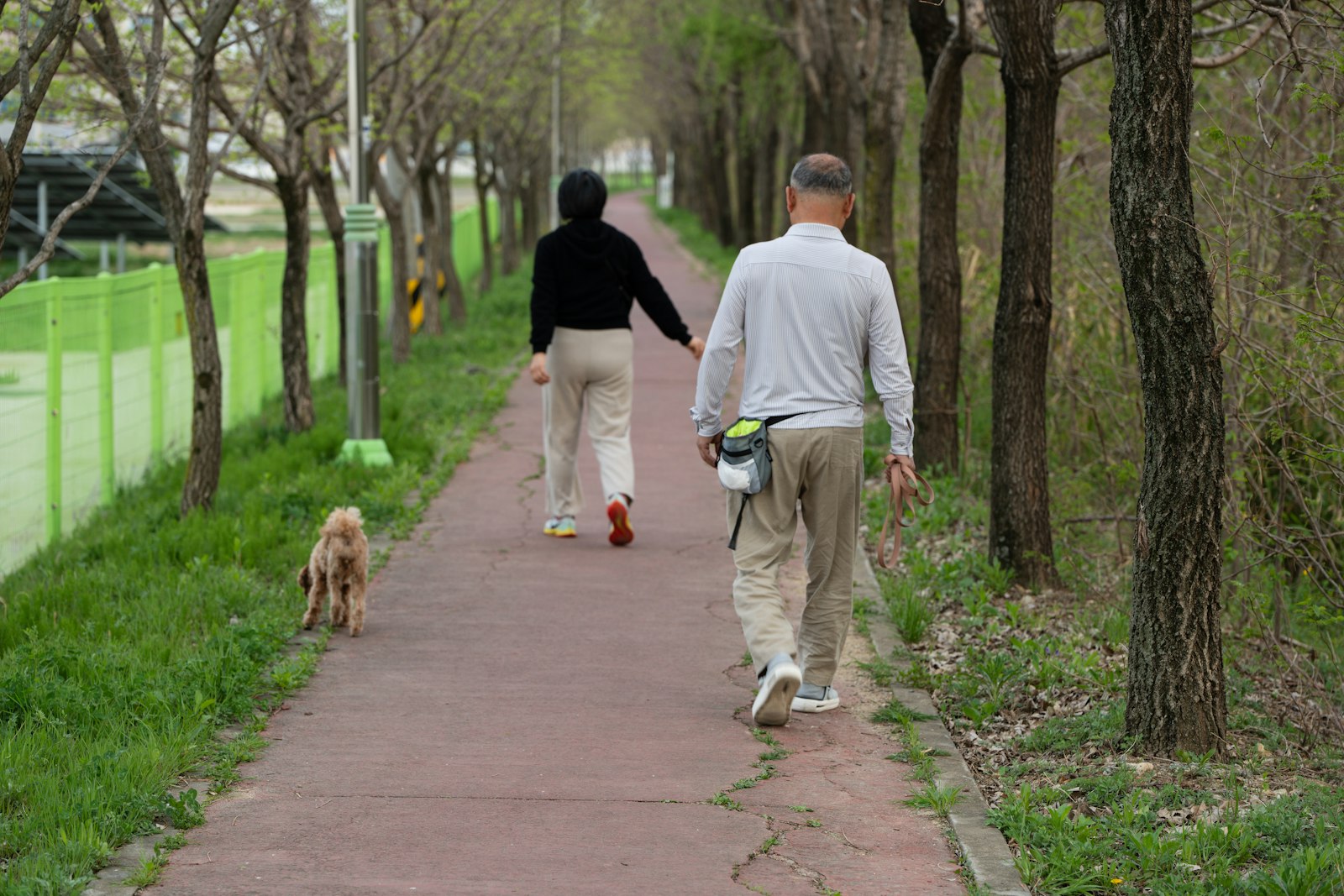 Promenad med hund i koppel