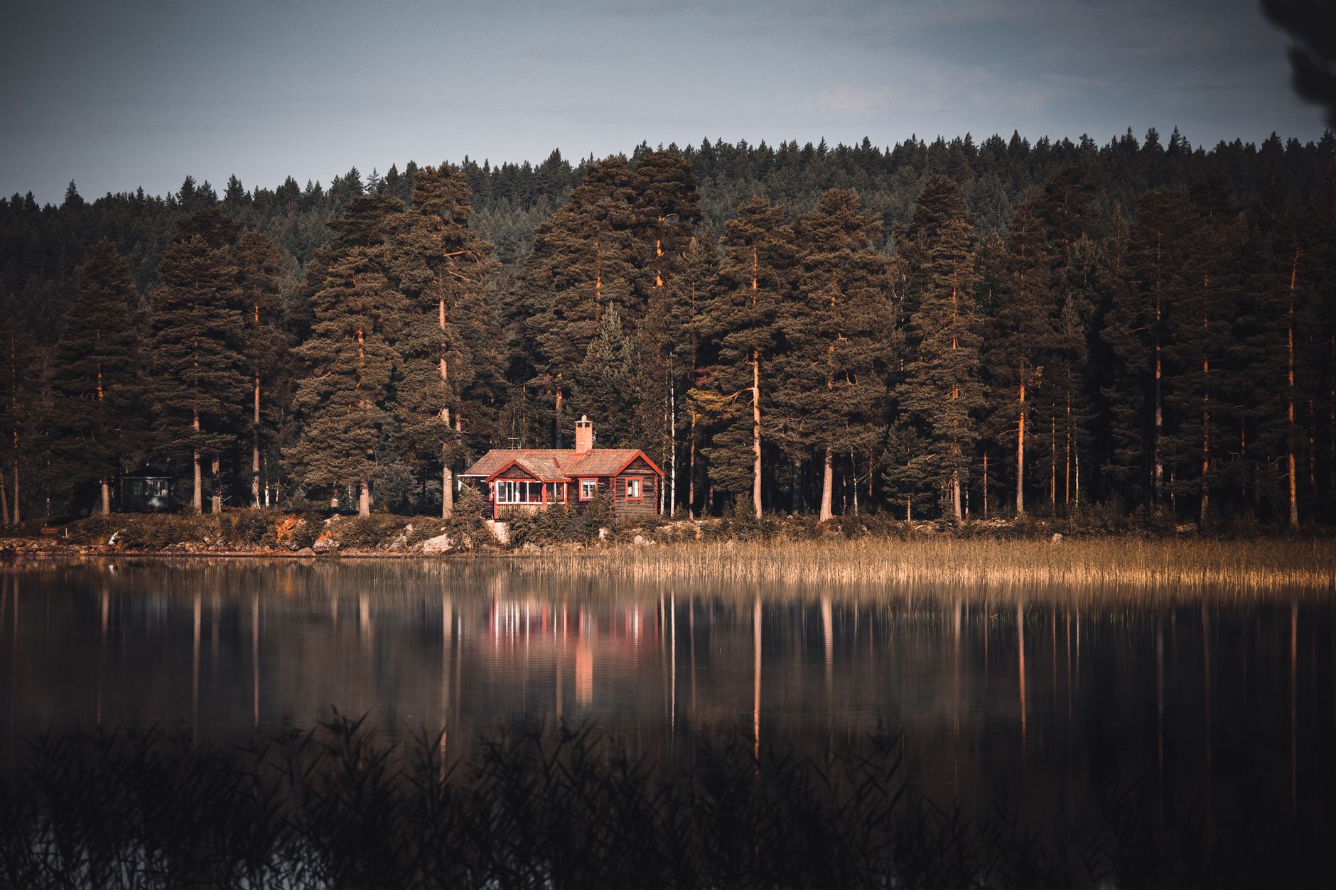 Rött fritidshus på en skogsklädd sjöstrand i Sverige, speglat i vattnet