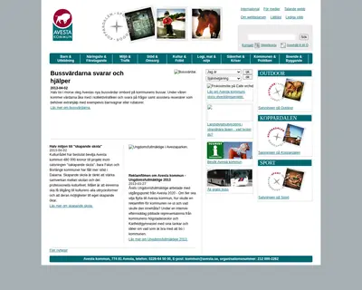 100% Avesta startsida 2013