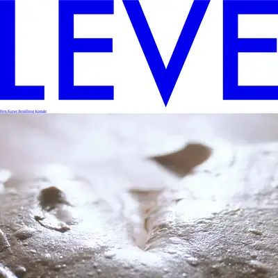 LEVE! startsida 2025
