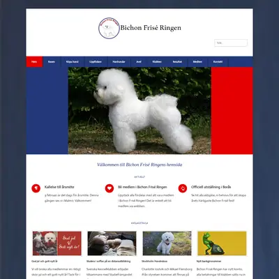 Bichon Frisé bladet startsida 2019