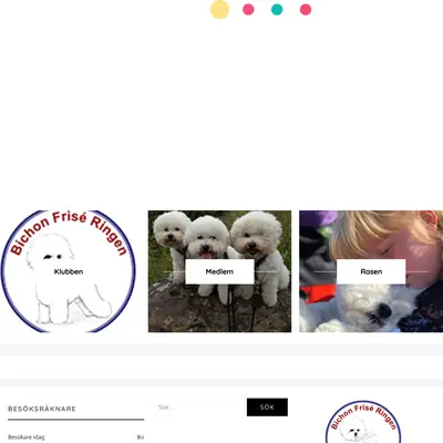 Bichon Frisé bladet startsida 2020