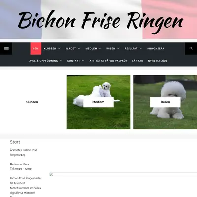 Bichon Frisé bladet startsida 2023