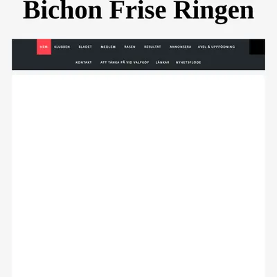 Bichon Frisé bladet startsida 2024