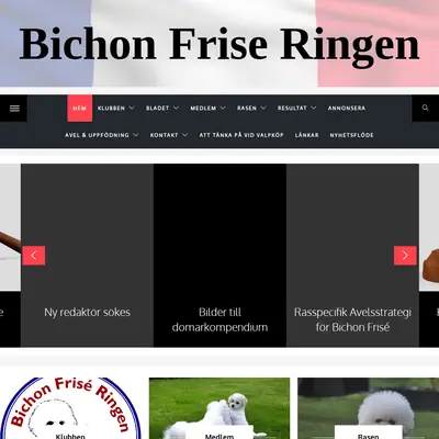 Bichon Frisé bladet startsida 2025