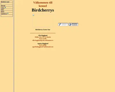 birdcherry.com startsida 2005