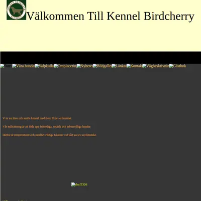 birdcherry.com startsida 2007