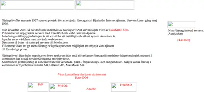 Bjurholmsguiden startsida 2005