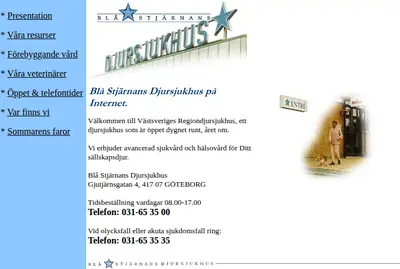Blå Stjärnan startsida 2001