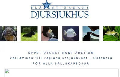 Blå Stjärnan startsida 2004