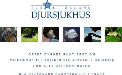 Blå Stjärnan startsida 2005