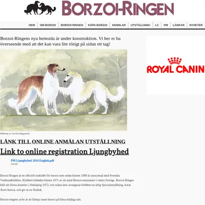 Borzoi startsida 2014