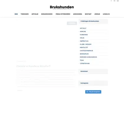 Brukshunden startsida 2023