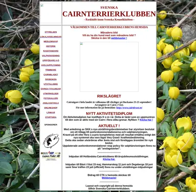 www.cairnterrier.se startsida 2011