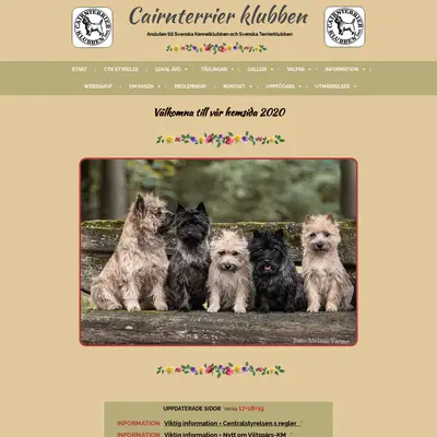 www.cairnterrier.se startsida 2020