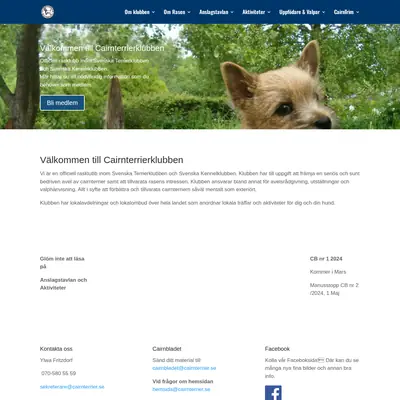www.cairnterrier.se startsida 2024