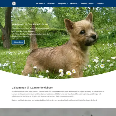 www.cairnterrier.se startsida 2025