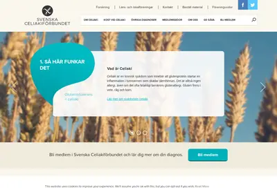 Celiaki Forum startsida 2018