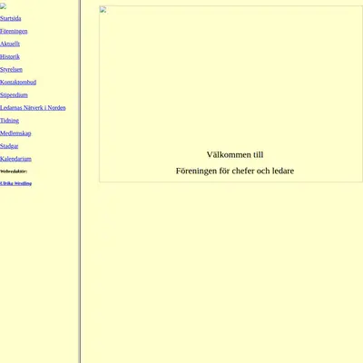 Chefer och ledare i vården startsida 2004