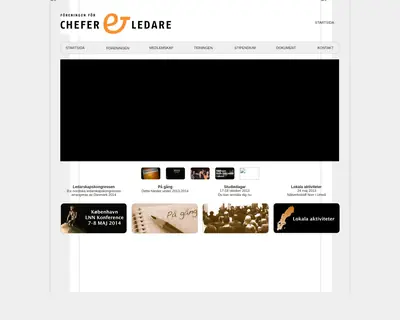 Chefer och ledare i vården startsida 2013