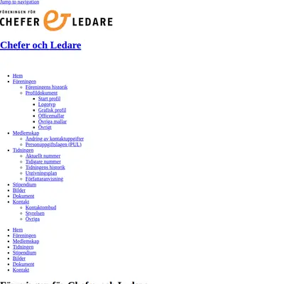Chefer och ledare i vården startsida 2017