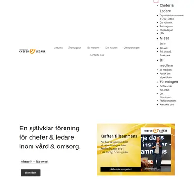 Chefer och ledare i vården startsida 2024
