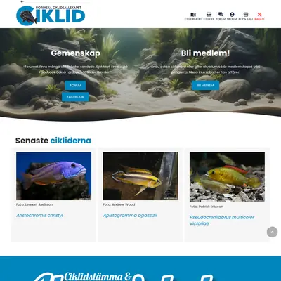 Ciklidbladet startsida 2024