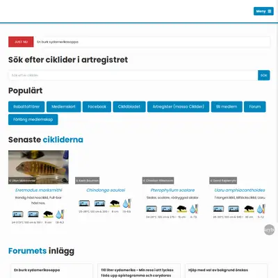 Ciklidbladet startsida 2025