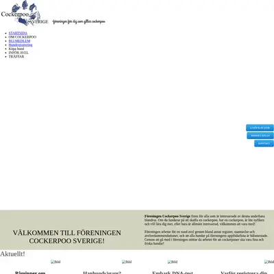 Cockerpootidningen startsida 2021