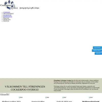 Cockerpootidningen startsida 2023