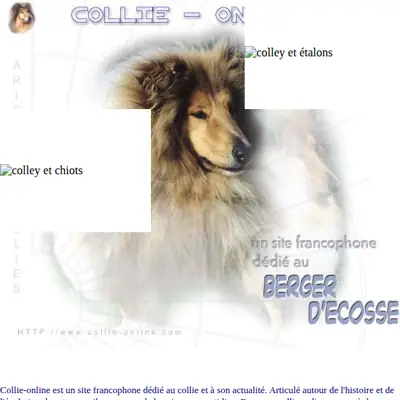 collieonline.se startsida 2002