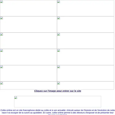 collieonline.se startsida 2003
