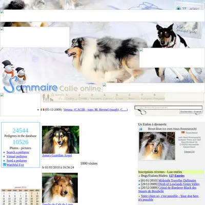 collieonline.se startsida 2010