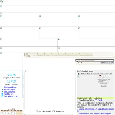 collieonline.se startsida 2011