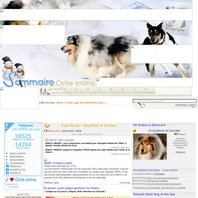 collieonline.se startsida 2012