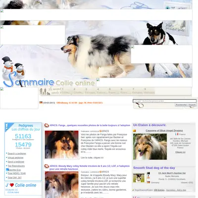 collieonline.se startsida 2013
