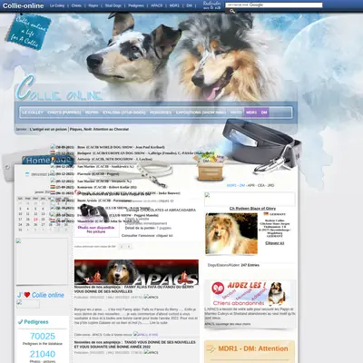 collieonline.se startsida 2022