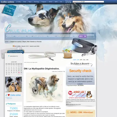 collieonline.se startsida 2023