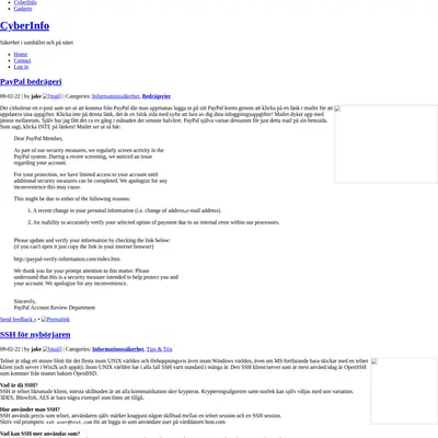 CyberInfo Sverige www.cyberinfo.se startsida 2009
