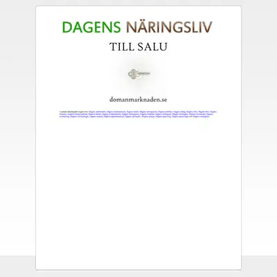 DAGENS NÄRINGSLIV startsida 2009