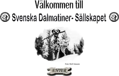 Dalmatiner - Kuriren startsida 2001
