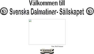 Dalmatiner - Kuriren startsida 2005