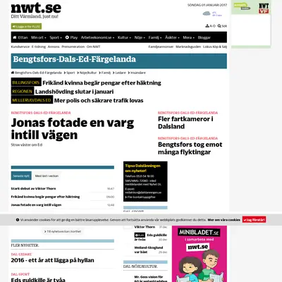 www.dalslanningen.se startsida 2017