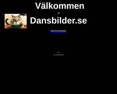 dansbilder.se startsida 2007