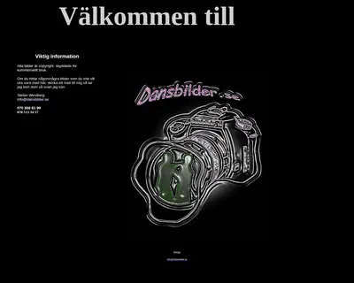 dansbilder.se startsida 2013